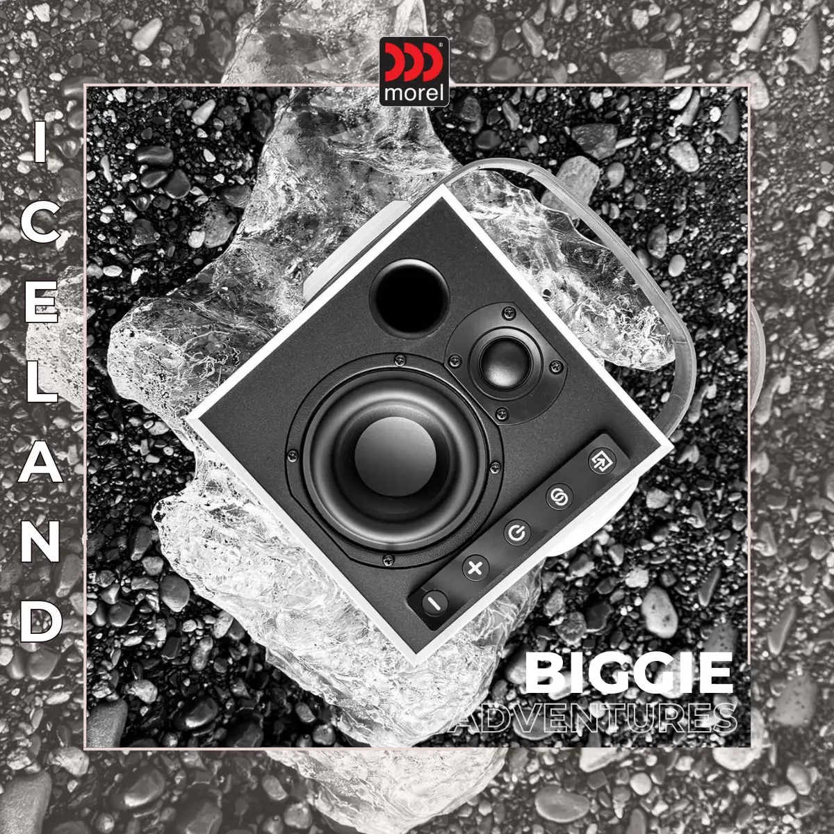 Loa Morel BIGGIE Minimal White