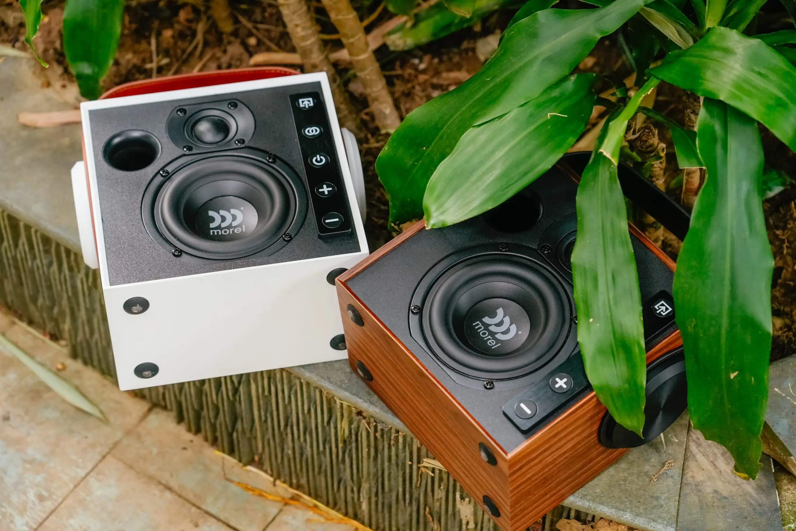 Morel BIGGIE Loa Bluetooth di động made in Israel
