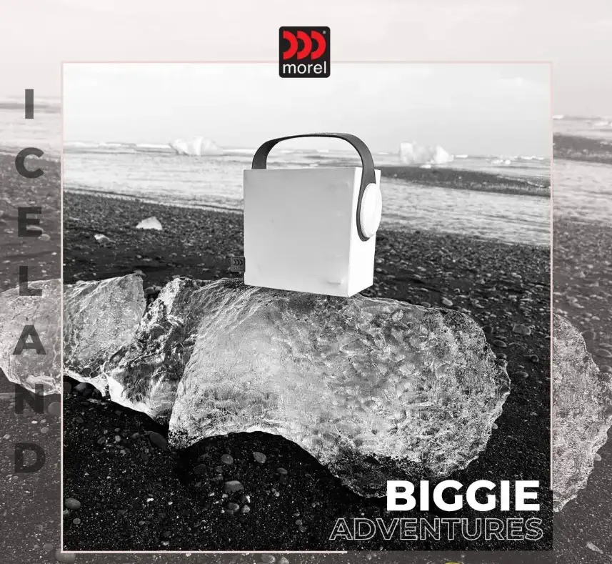 Loa Morel BIGGIE Minimal White
