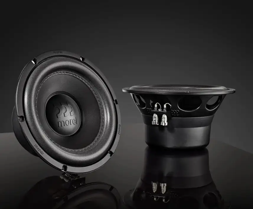 Loa Siêu Trầm Subwoofer Morel Kinetic KS124 12inch